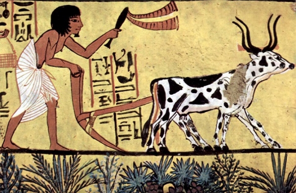 고이집트의 농사짓는 모습 /위키피디아