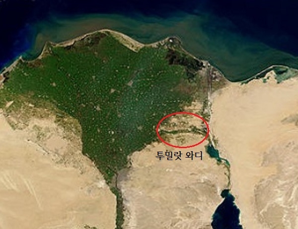 인공위성에서 본 나일강의 모습 /위키피디아