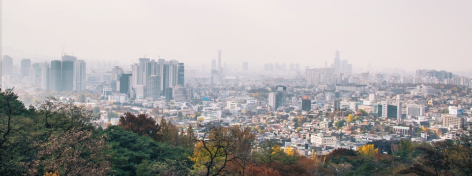 과밀한 서울의 모습. /위키피디아
