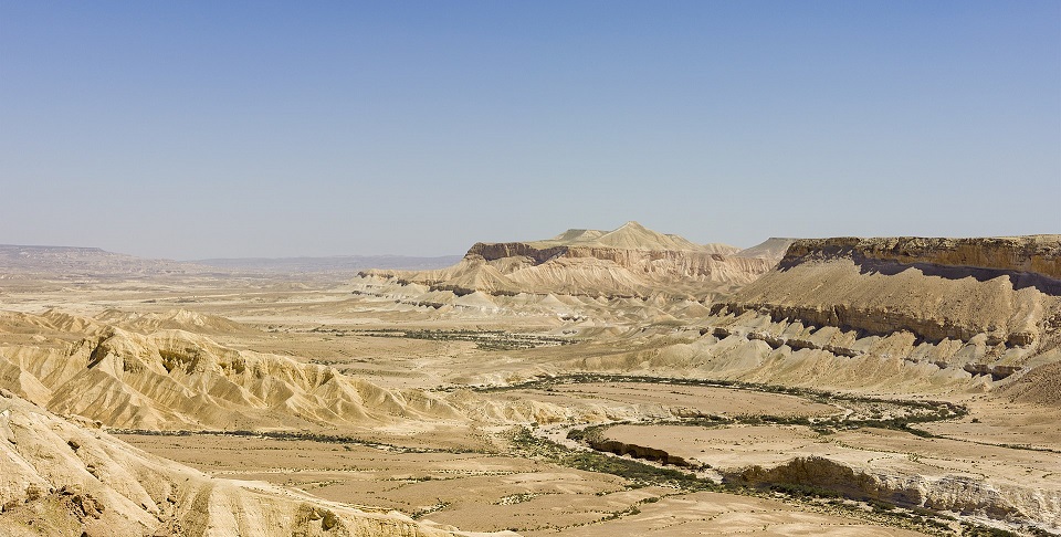 네게브 사막 /위키피디아