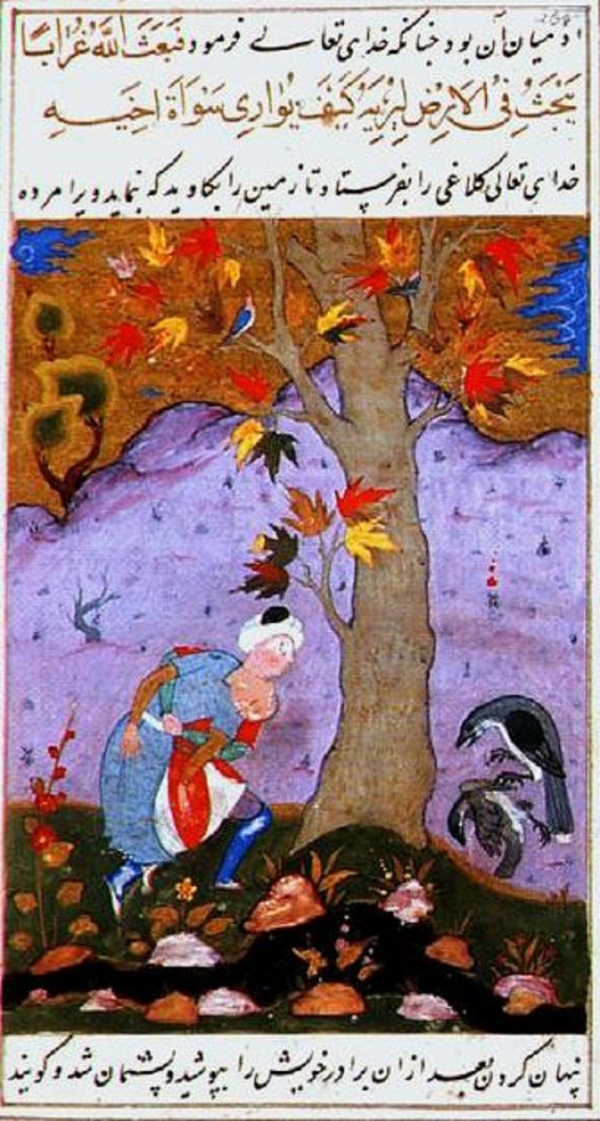 카인이 아벨을 땅에 매장하는 이슬람 삽화 /위키피디아
