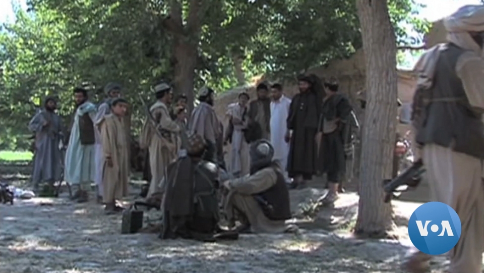 탈레반 군사요원(2011) /위키피디아