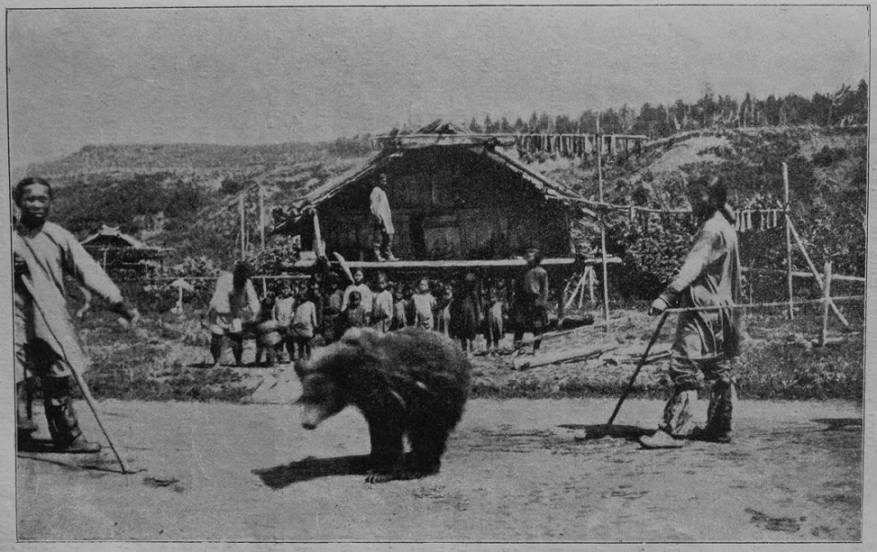 니브흐족의 곰 축제(1903) /위키피디아