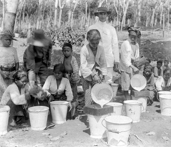 자바섬의 천연고무 수집 /위키피디아